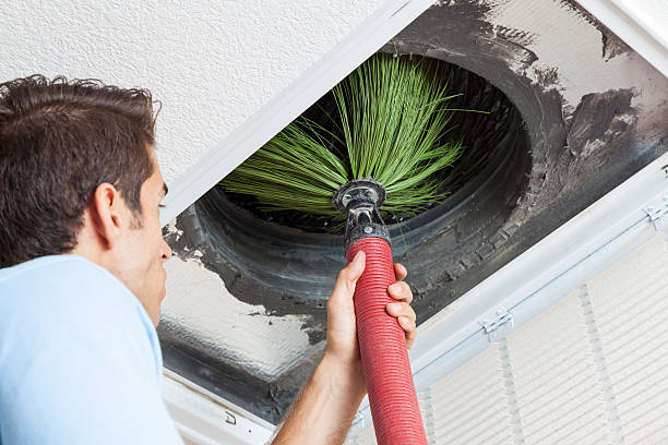 Best Residential Air Duct Cleaning  in Okeechobee, FL